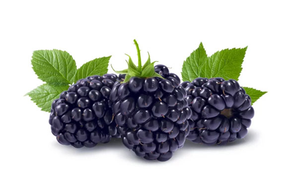 moras